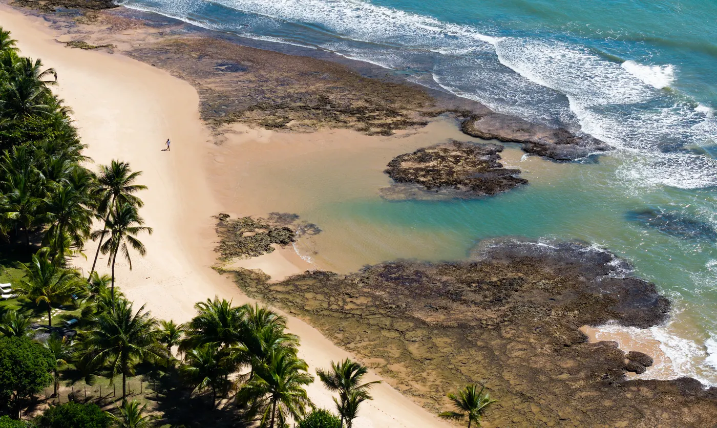 Recifes e praia com coqueiral, vistos do alto